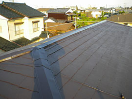 paint_roof_02